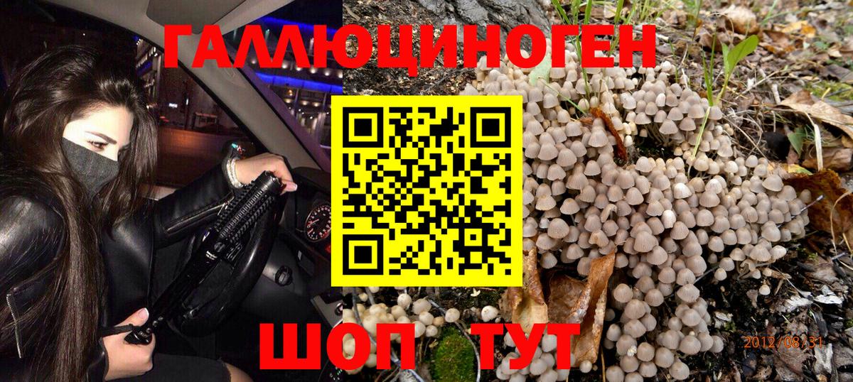 Псилоцибиновые грибы мицелий Коломна