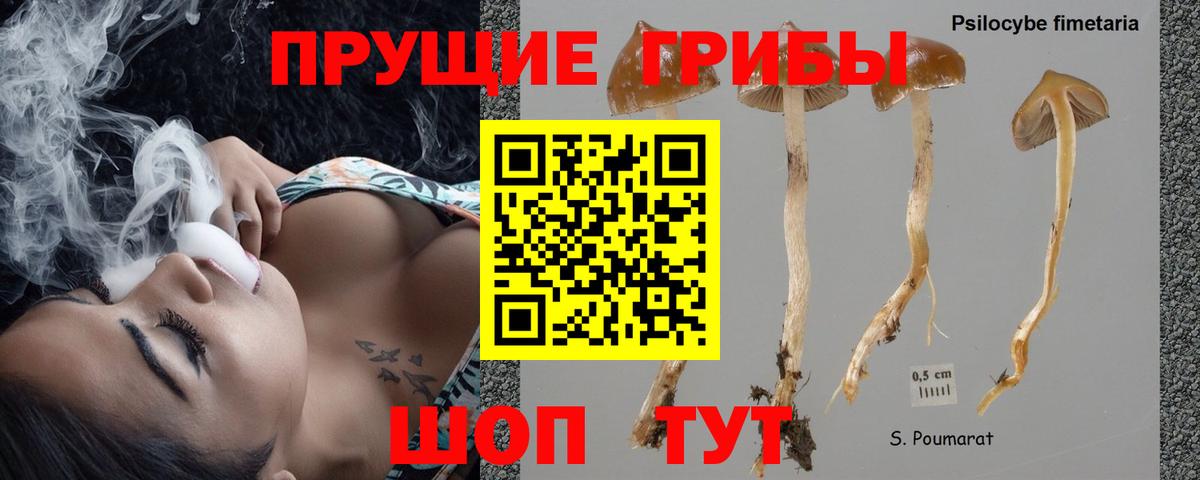 Галлюциногенные грибы MAGIC MUSHROOMS  Галлюциногенные грибы GOLDEN TEACHER  продажа наркотиков  Коломна  Вход с VPN 